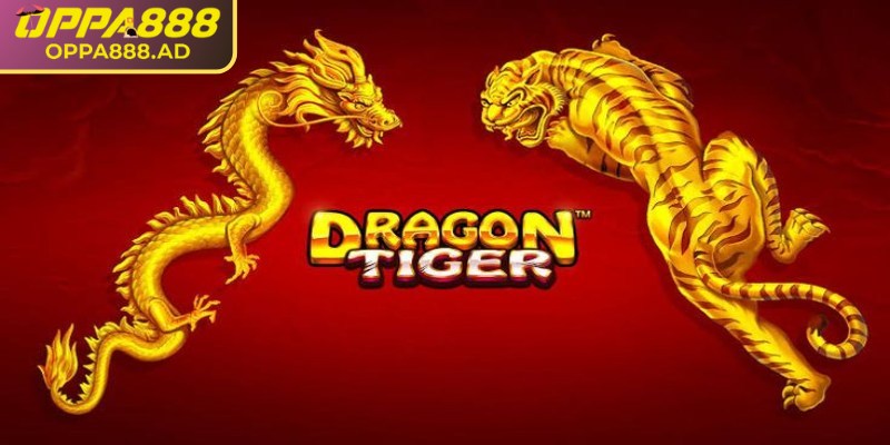 Dragon Tiger Oppa888 – Cuộc đối đầu đỉnh cao của hai thế lực 1 Giới thiệu vài nét về Dragon tiger Oppa888