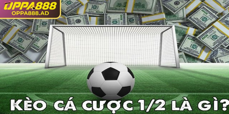 Kèo 1/2 Oppa888: Khám phá cách tham gia tối ưu lợi nhuận 1 Tìm hiểu tổng quan về kèo 1/2 Oppa888