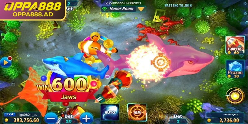 Oneshot Fishing Oppa888: Thế giới bắn cá bạn chưa từng thấy 3 Phòng chơi đa dạng để người chơi lựa chọn